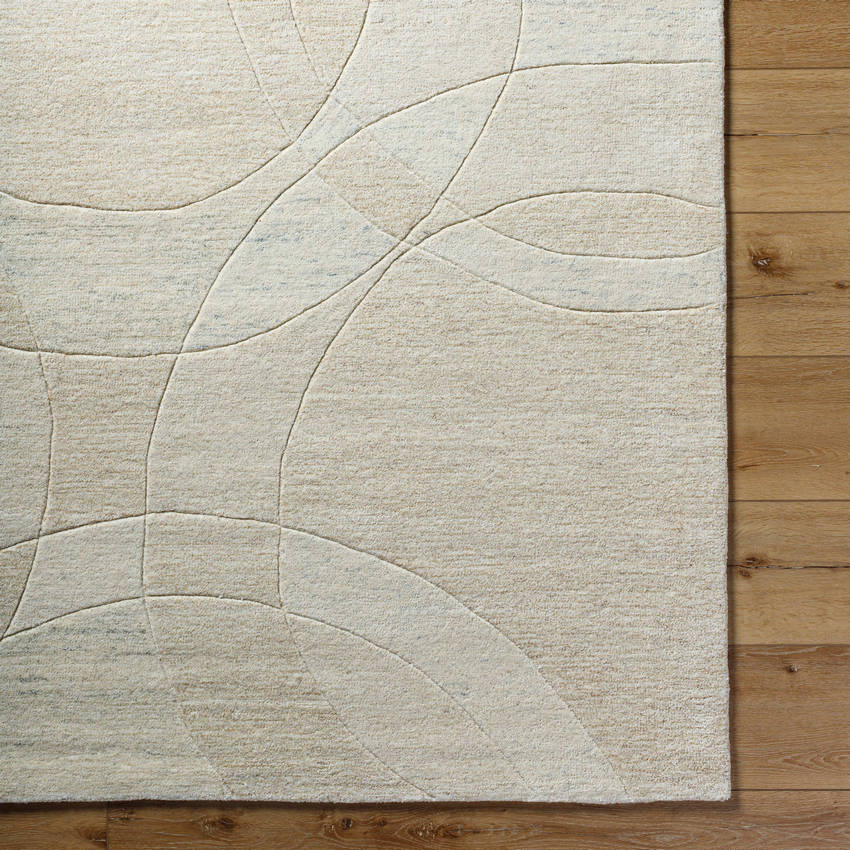 Besancon Modern Light Silver Area Rug