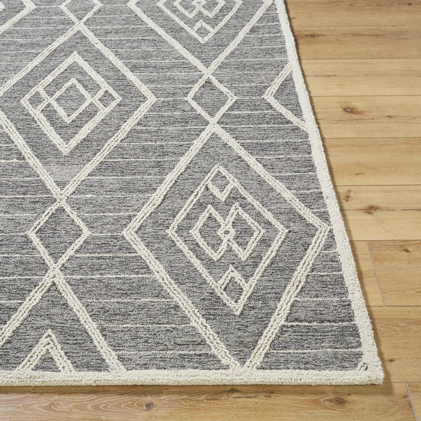 Ajit Global Grey Area Rug