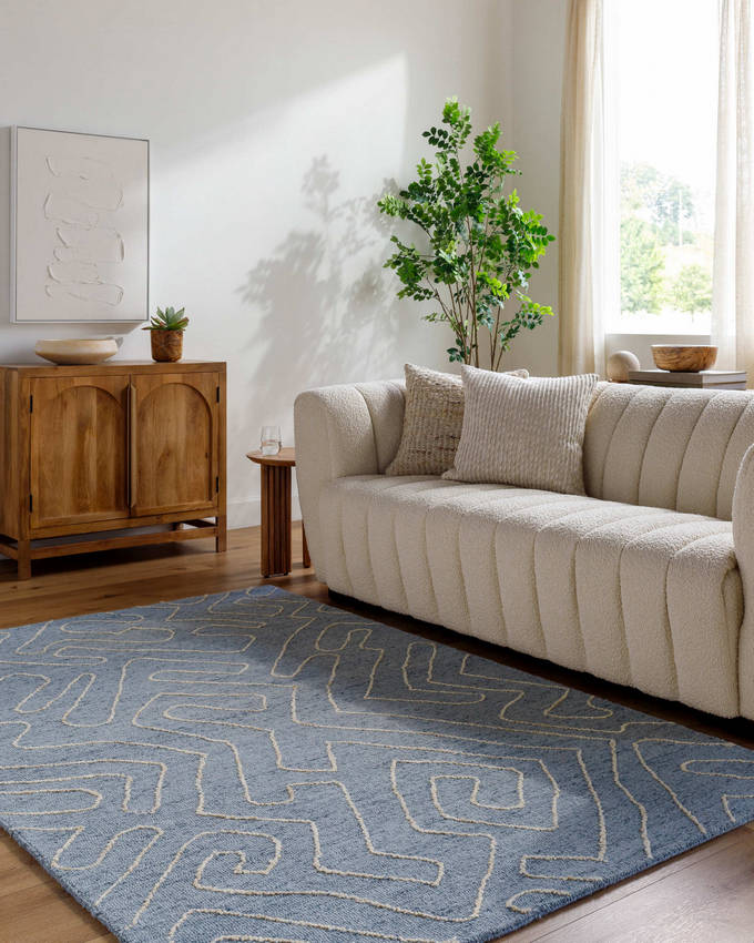 Tim Modern Slate Blue Area Rug