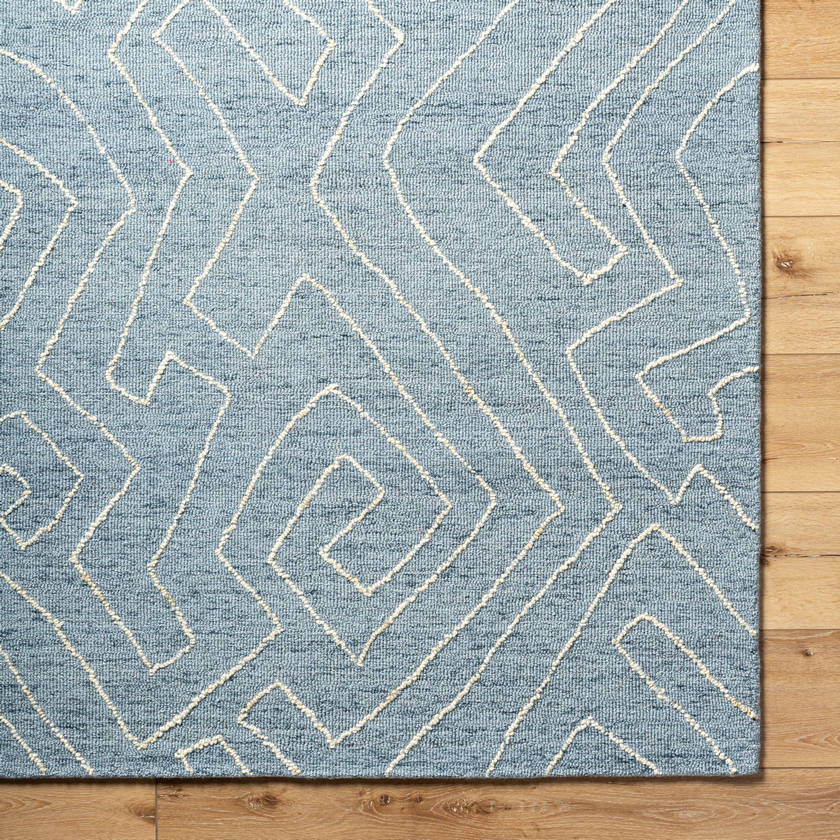 Tim Modern Slate Blue Area Rug