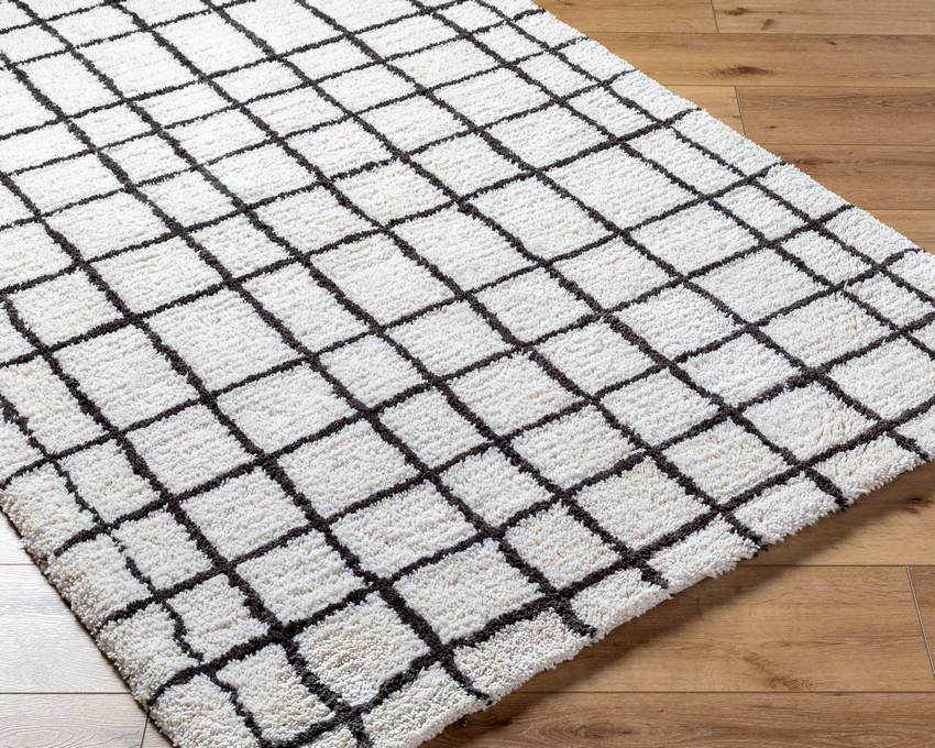 Alorton Modern White/Black Area Rug