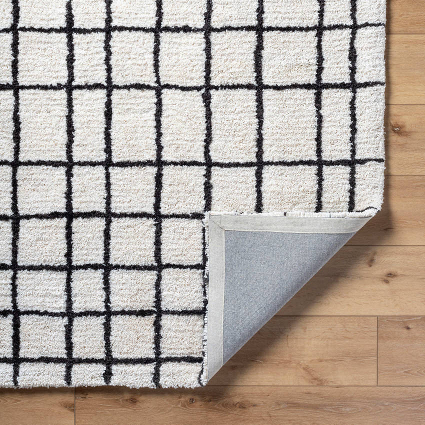 Alorton Modern White/Black Area Rug