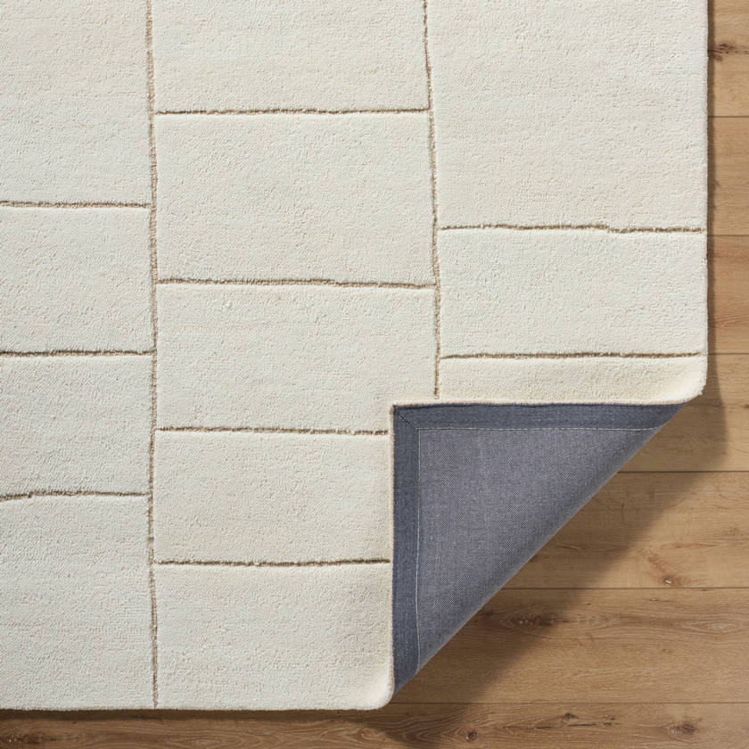 Benzion Modern Off-White Area Rug