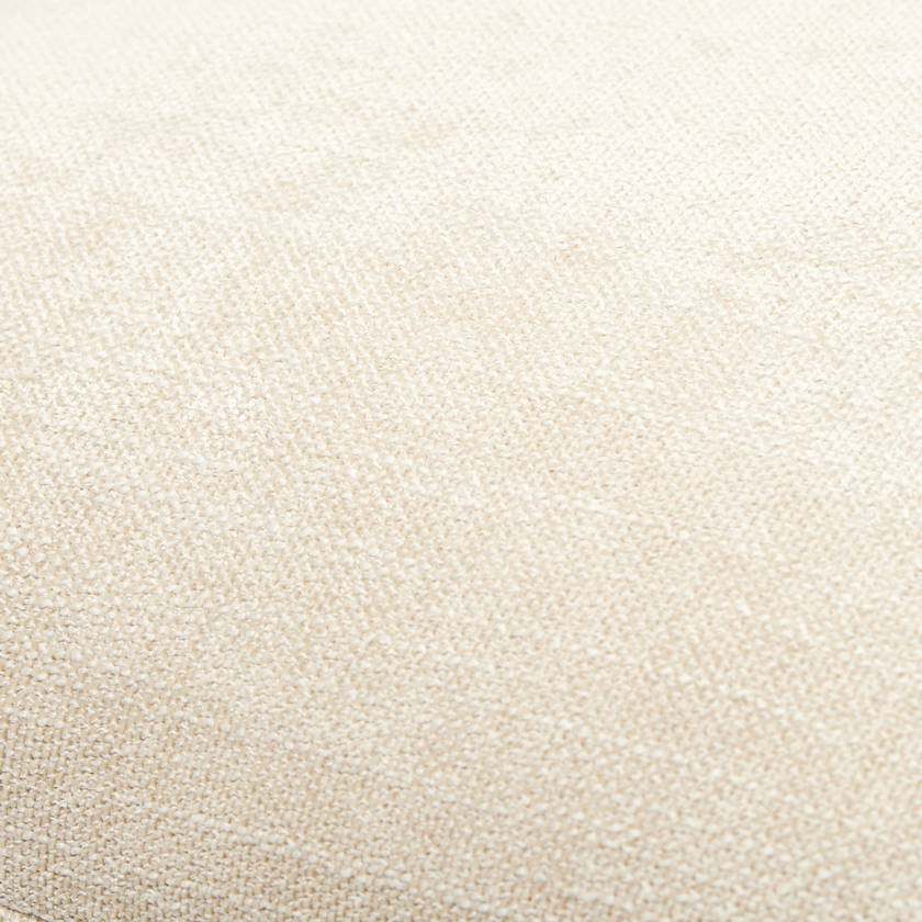 Demarkus Champagne Pillow Cover