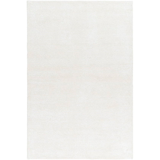 Jett Solid and Border Light Silver Area Rug