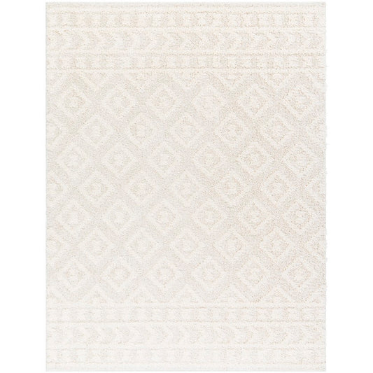 Shatora Modern Light Beige Area Rug