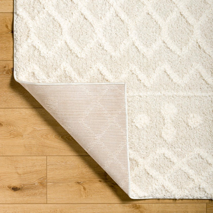 Daris Modern Cream Area Rug