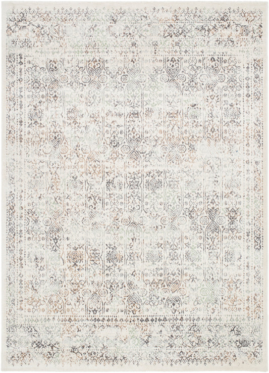 Hyeres Traditional Medium Gray Area Rug