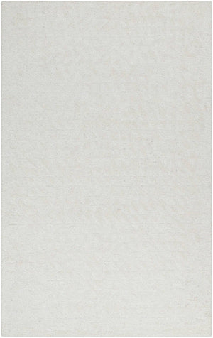 Shardee Modern Light Silver Area Rug