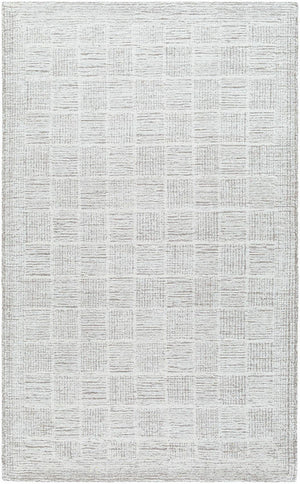Yomaira Modern Light Silver Area Rug
