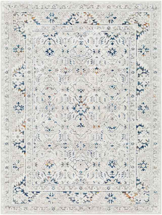 Quince Traditional Light Gray Area Rug