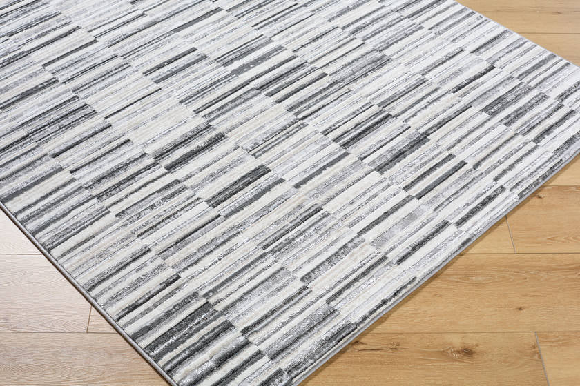 Carmela Modern Gray Area Rug
