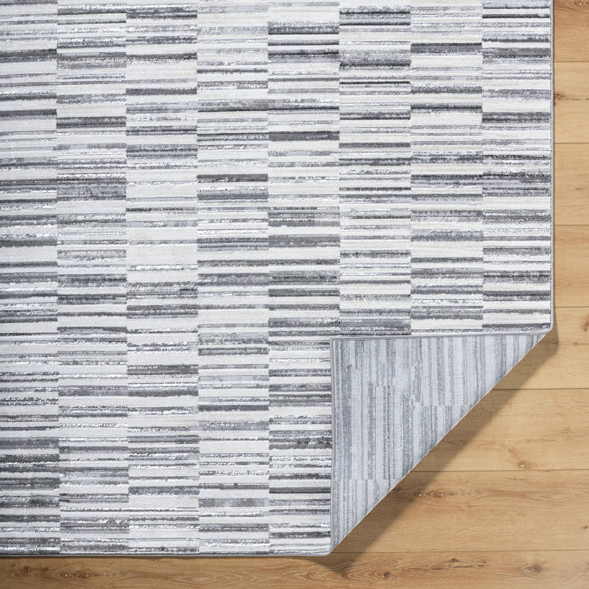 Carmela Modern Gray Area Rug