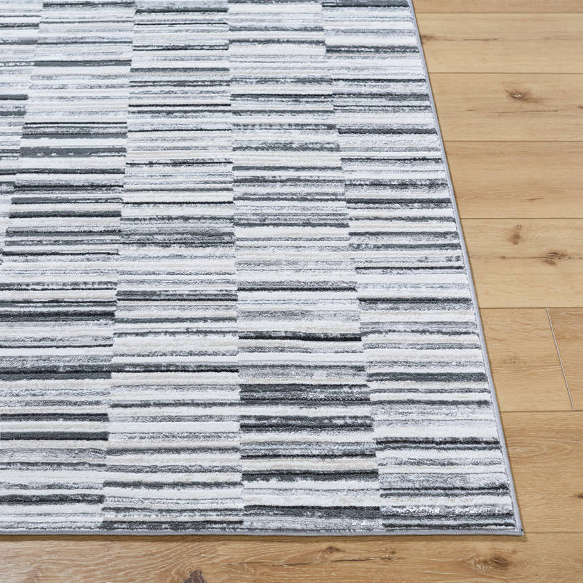 Carmela Modern Gray Area Rug