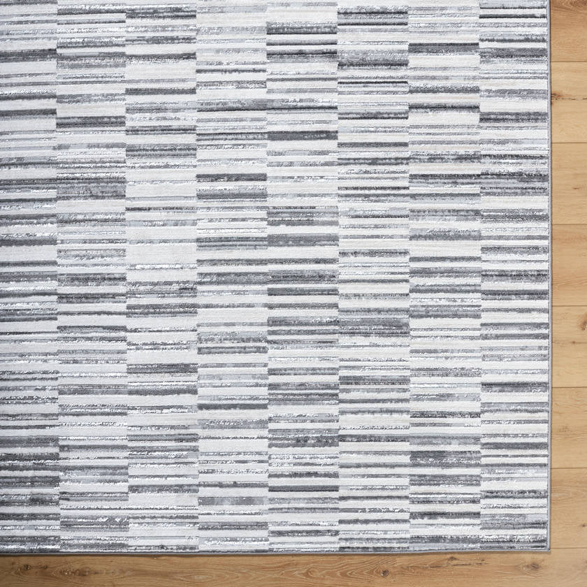 Carmela Modern Gray Area Rug