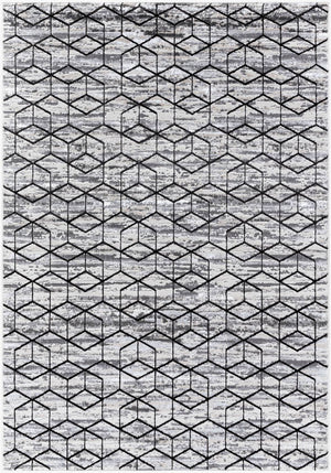 Carlton Modern Black/Light Beige Area Rug