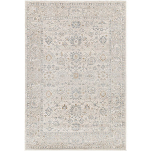 Johney Traditional Light Gray Area Rug