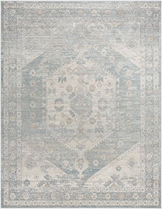 Shaila Traditional Denim/Charcoal Area Rug