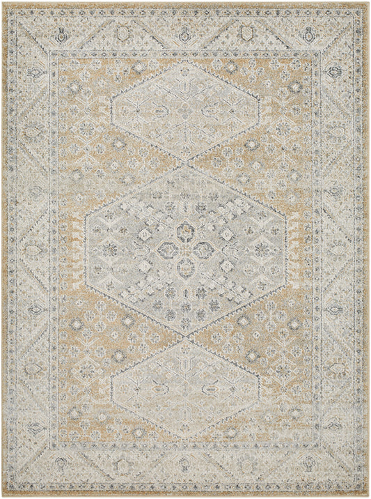Demarco Traditional Saffron Area Rug