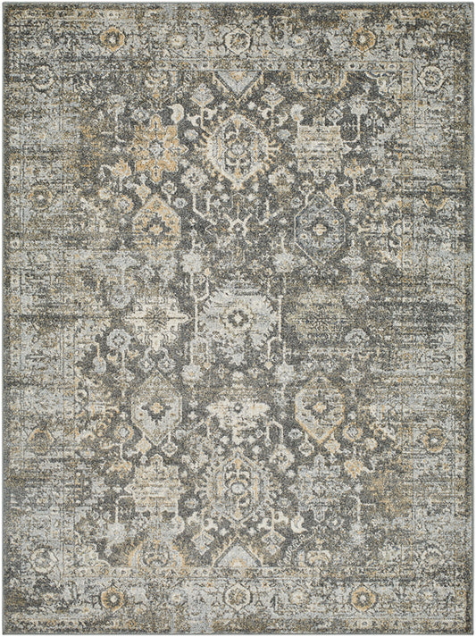 Catarino Traditional Black/Light Gray Area Rug
