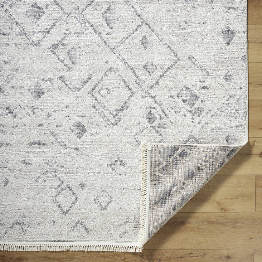 Monesha Modern Ivory/Black Area Rug