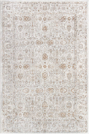 Karlton Traditional Light Gray/Dark Brown Area Rug