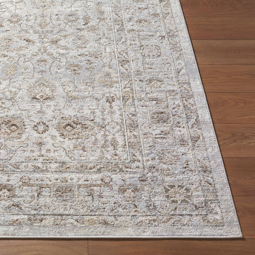 Karlton Traditional Light Gray/Dark Brown Area Rug