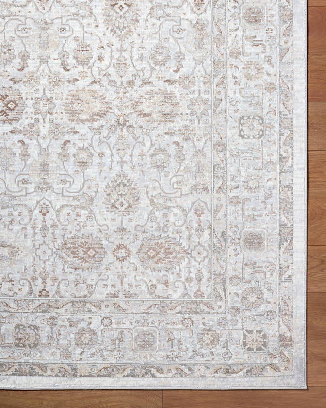 Karlton Traditional Light Gray/Dark Brown Area Rug