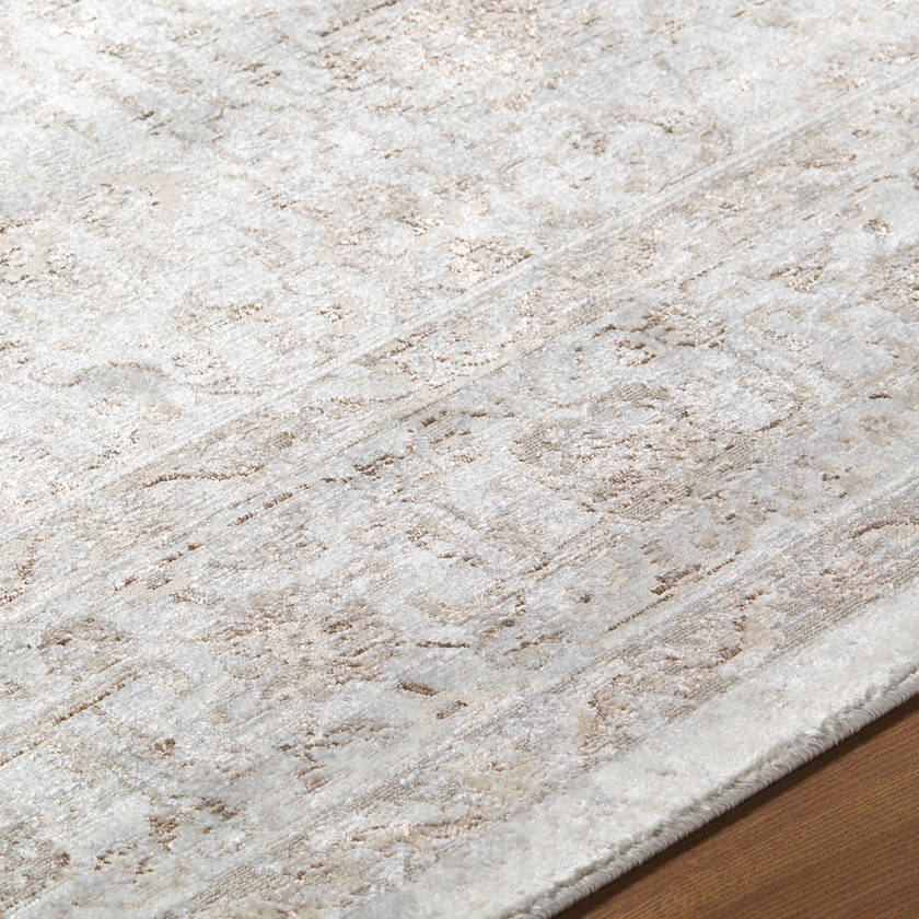 Karlton Traditional Light Gray/Dark Brown Area Rug