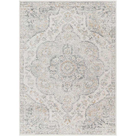 Lola Traditional Medium Gray Area Rug