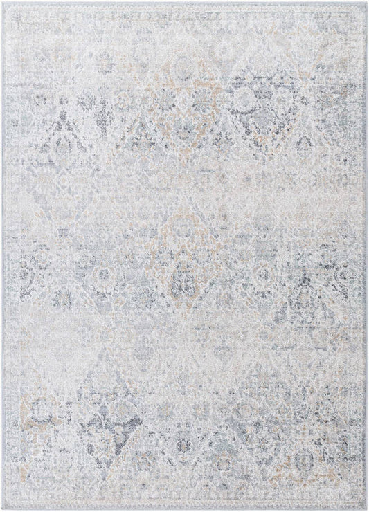 Emilly Traditional Medium Gray Area Rug
