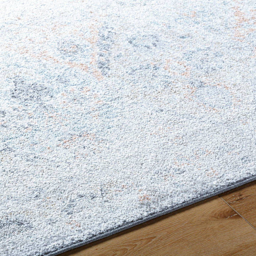 Emilly Traditional Amber Area Rug