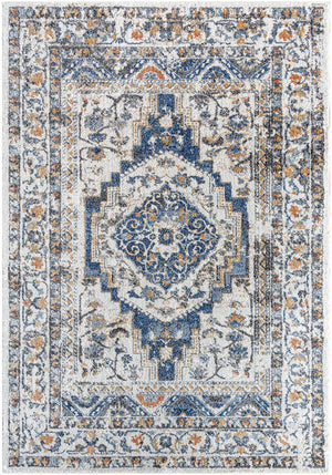Elimelech Traditional Light Silver Area Rug