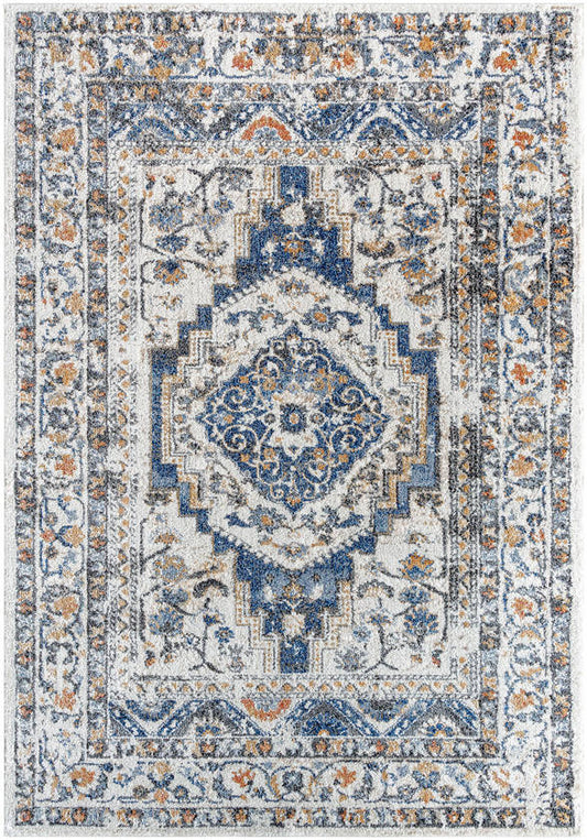 Elimelech Traditional Light Silver Area Rug