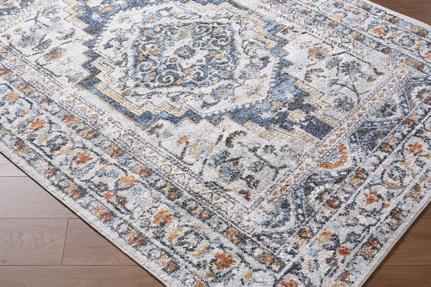 Elimelech Traditional Light Silver Area Rug