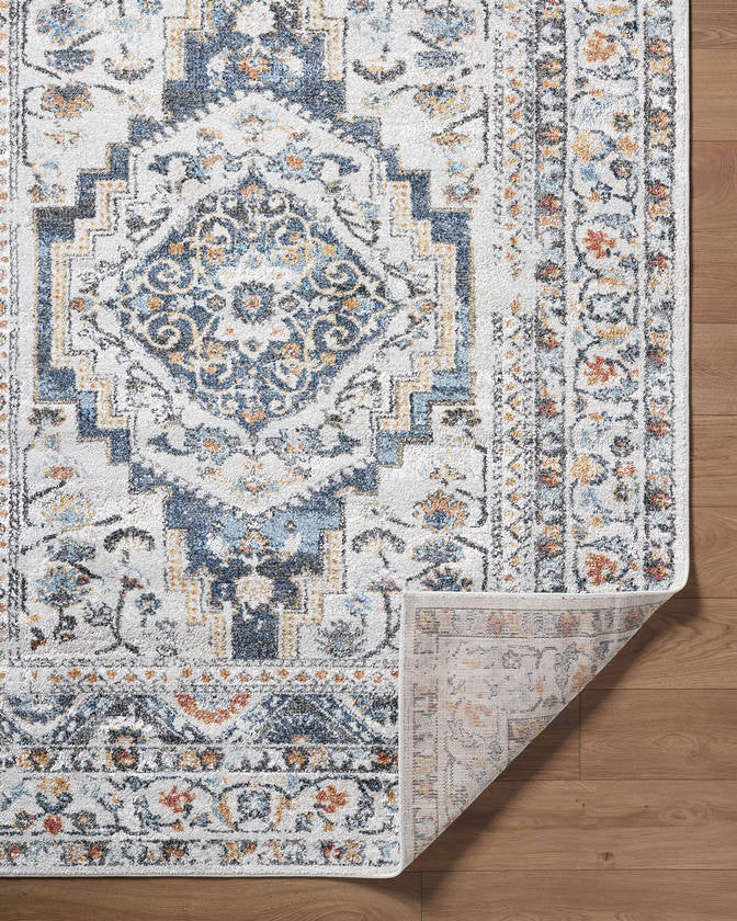 Elimelech Traditional Light Silver Area Rug