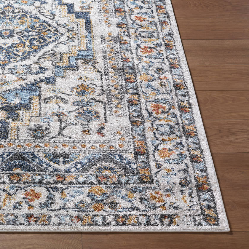 Elimelech Traditional Light Silver Area Rug