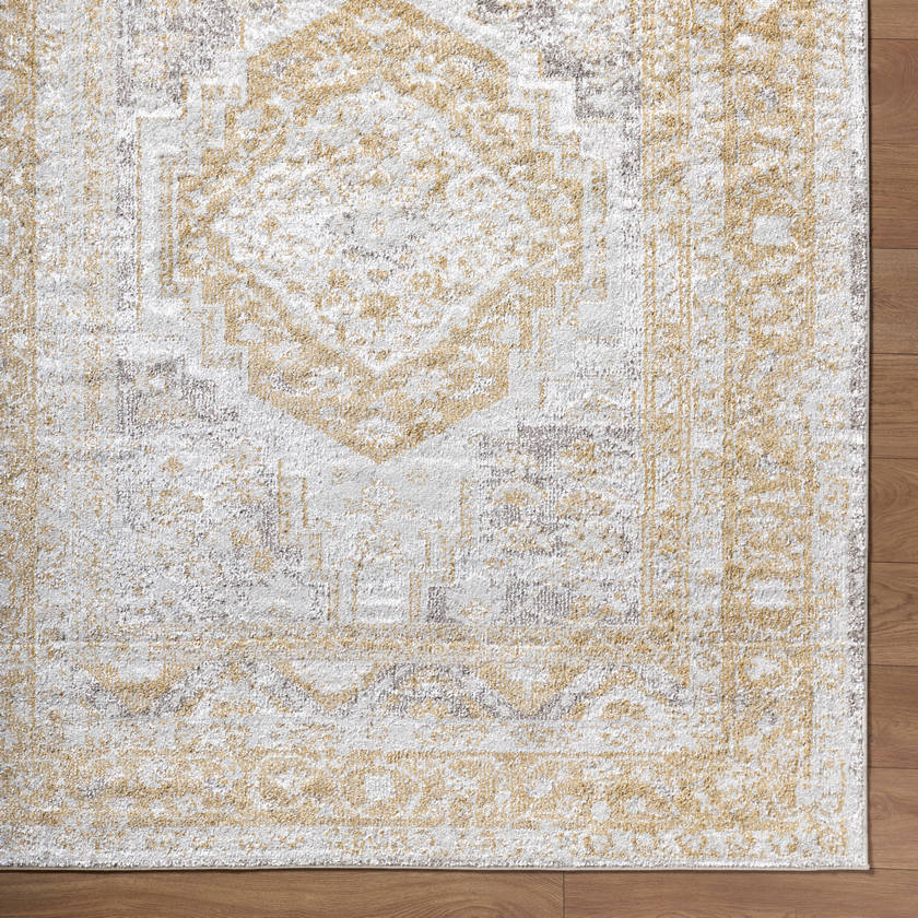 Elimelech Traditional Light Brown Area Rug