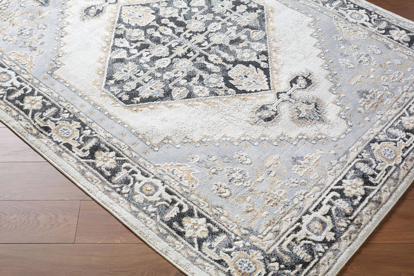 Daylan Traditional Black Area Rug