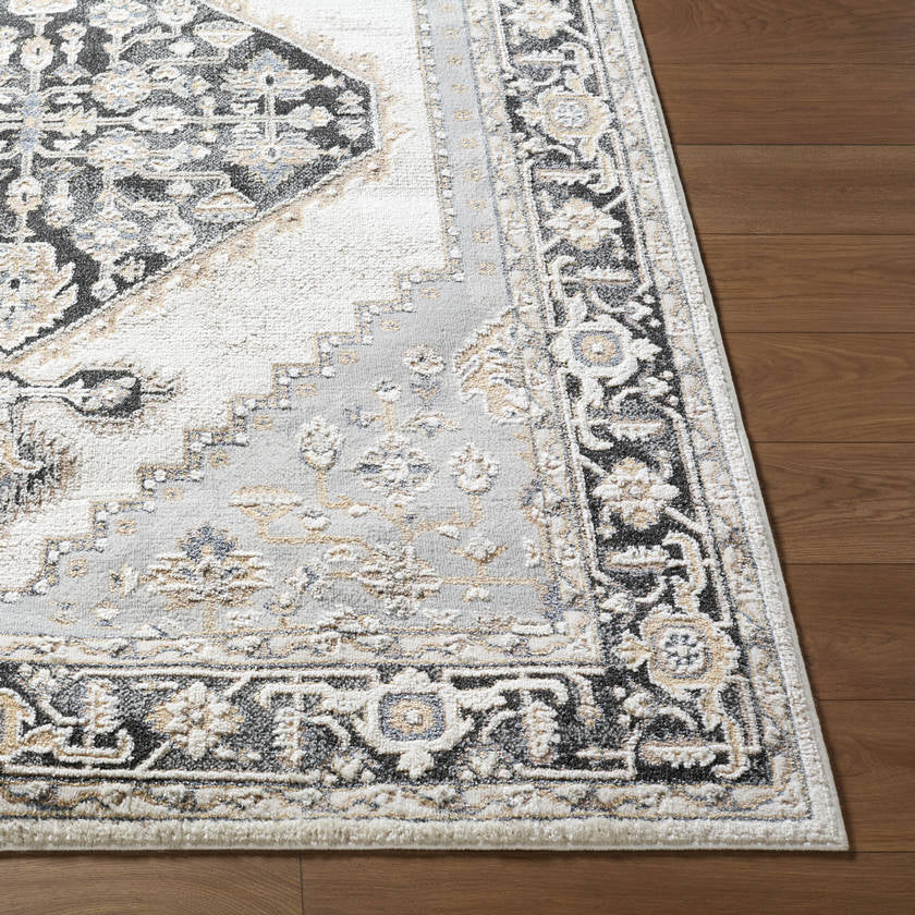 Daylan Traditional Black Area Rug
