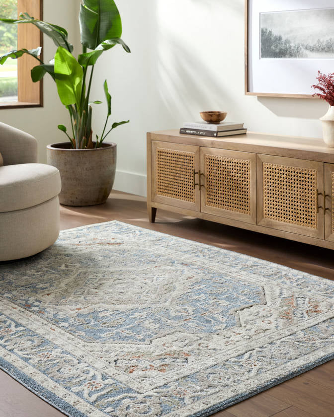 Tierney Traditional Denim Area Rug