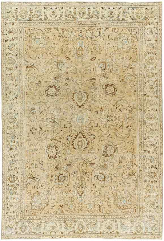 Lara Traditional Light Brown Area Rug