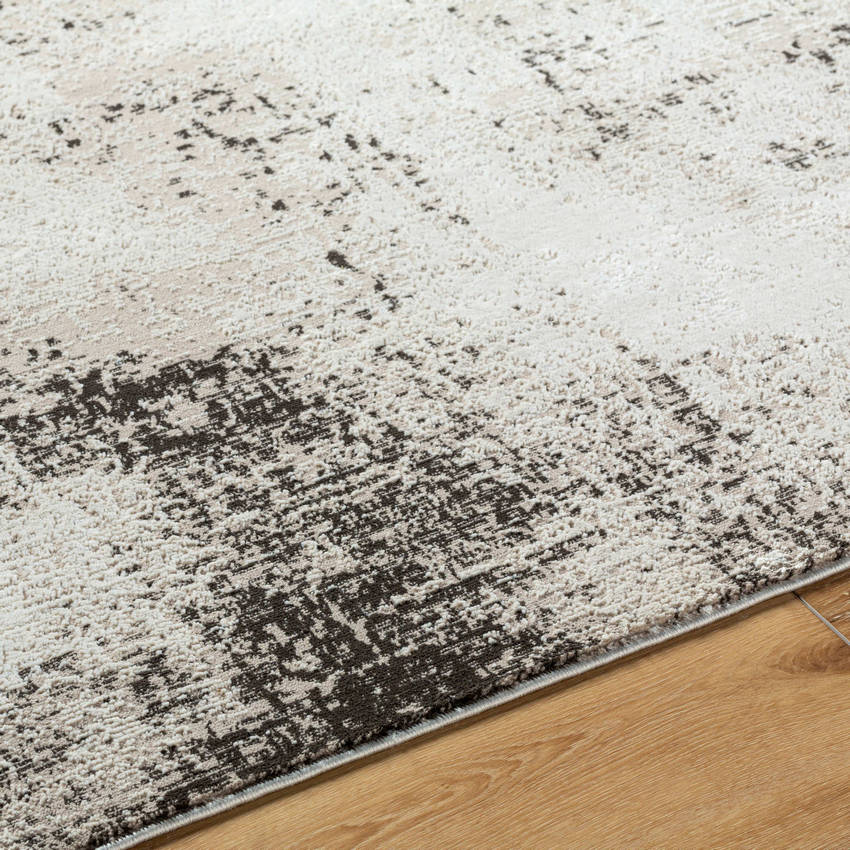 Shamille Rustic Ivory/Charcoal Area Rug
