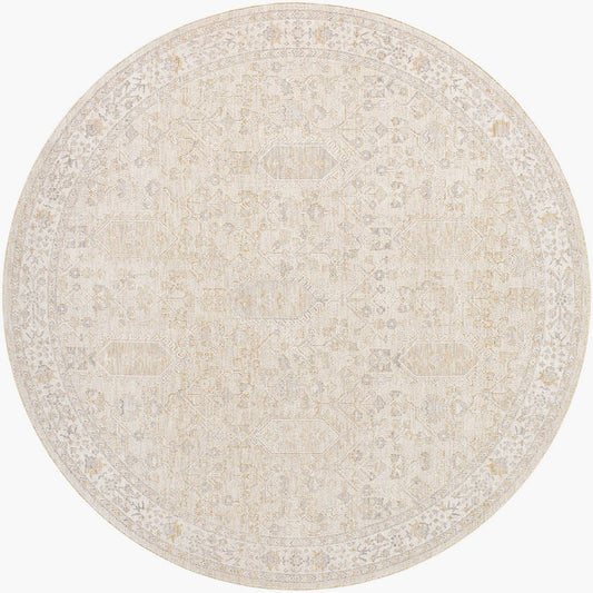 Krissa Traditional Light Silver Area Rug
