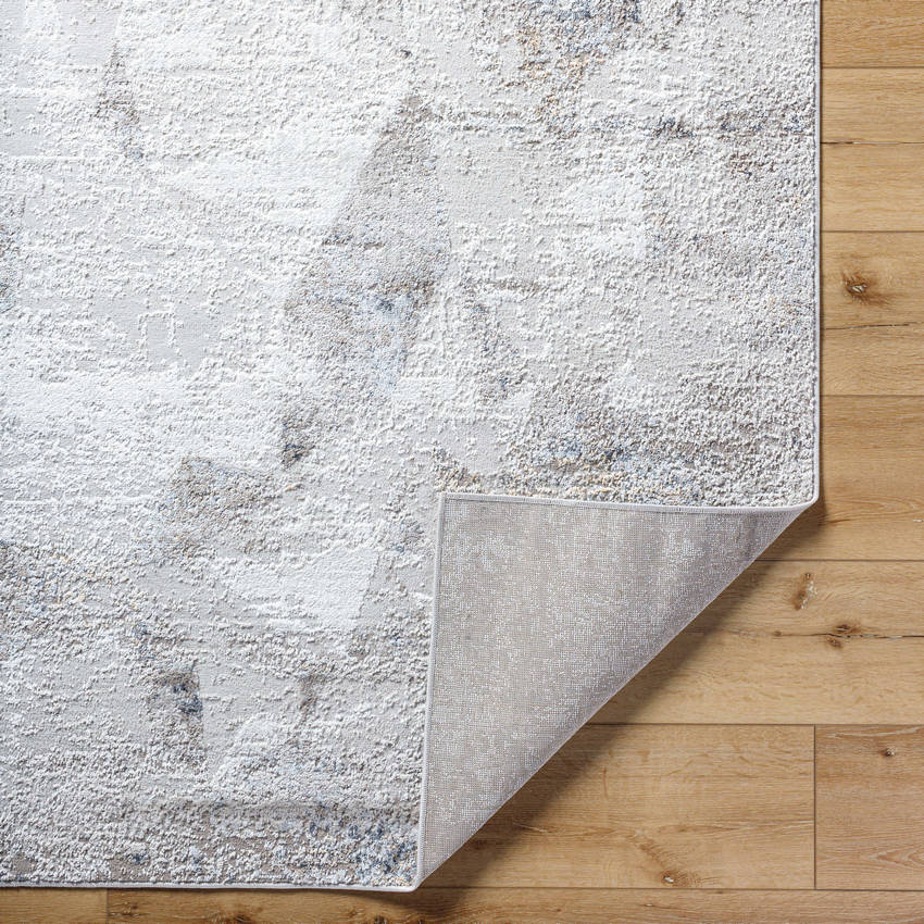 Alfonso Rustic Light Gray Area Rug