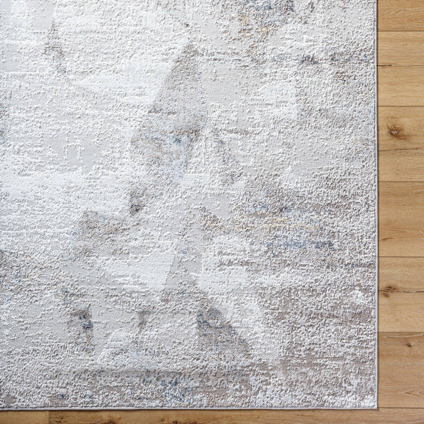 Alfonso Rustic Light Gray Area Rug
