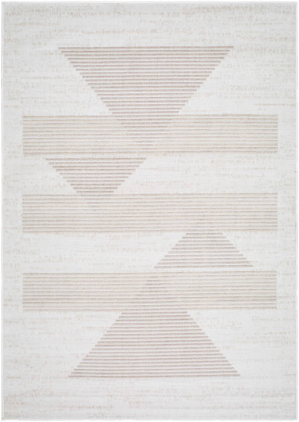 Plasmolen Modern Gray Area Rug