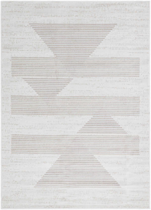 Plasmolen Modern Gray Area Rug