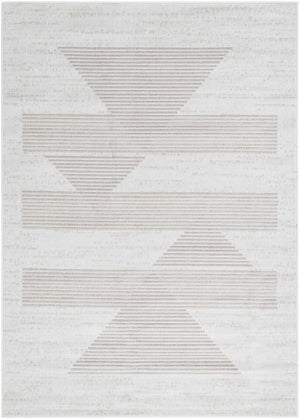 Plasmolen Modern Gray Area Rug