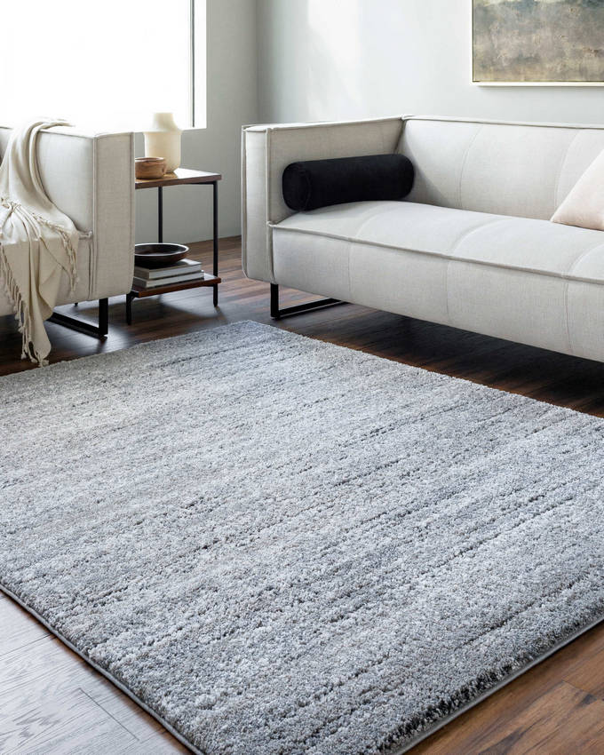 Rayla Modern Light Silver Area Rug
